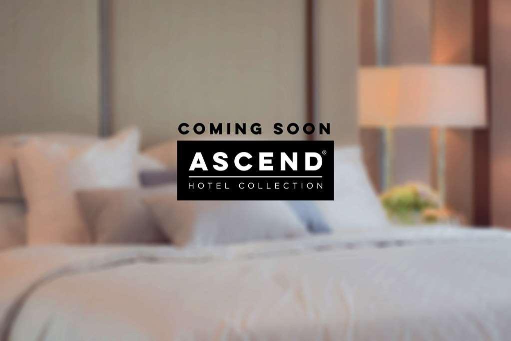 Mayfair Hotel, Ascend Hotel Collection New York Eksteriør bilde